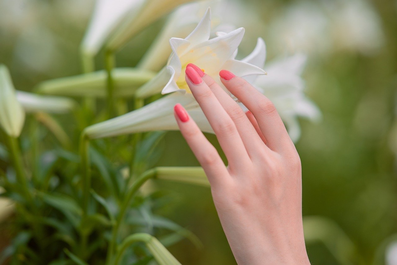 The Evolution of Gel Polish Trends: From Classic to Avant-Garde