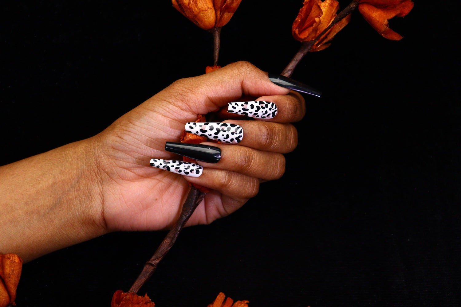 A Buyers Guide to Acrylic Nail Powder