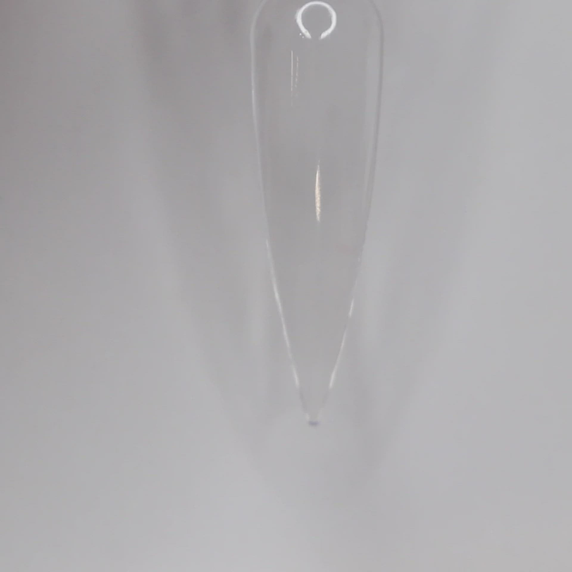 Load video: Angel Fish