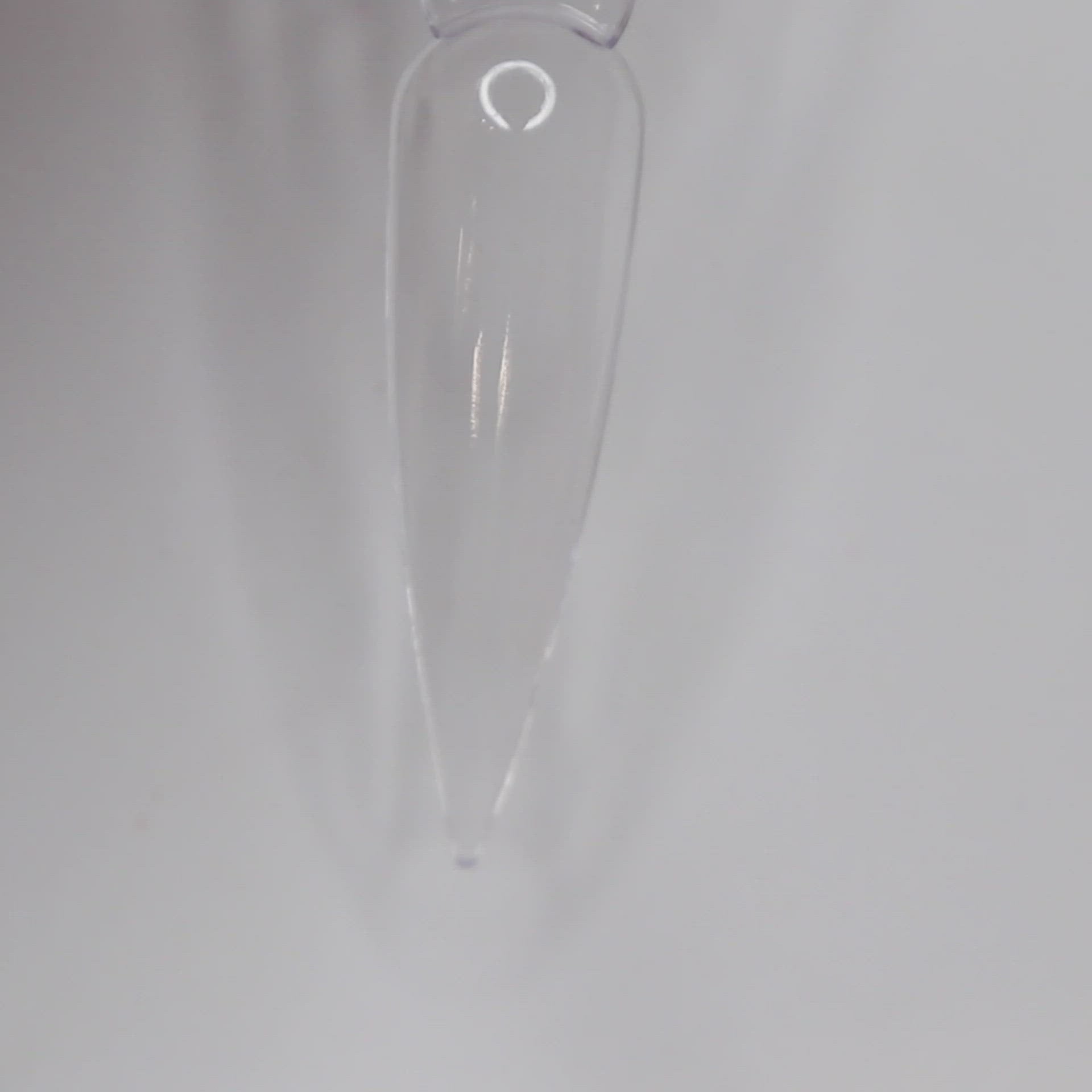 Load video: Bottle Nose