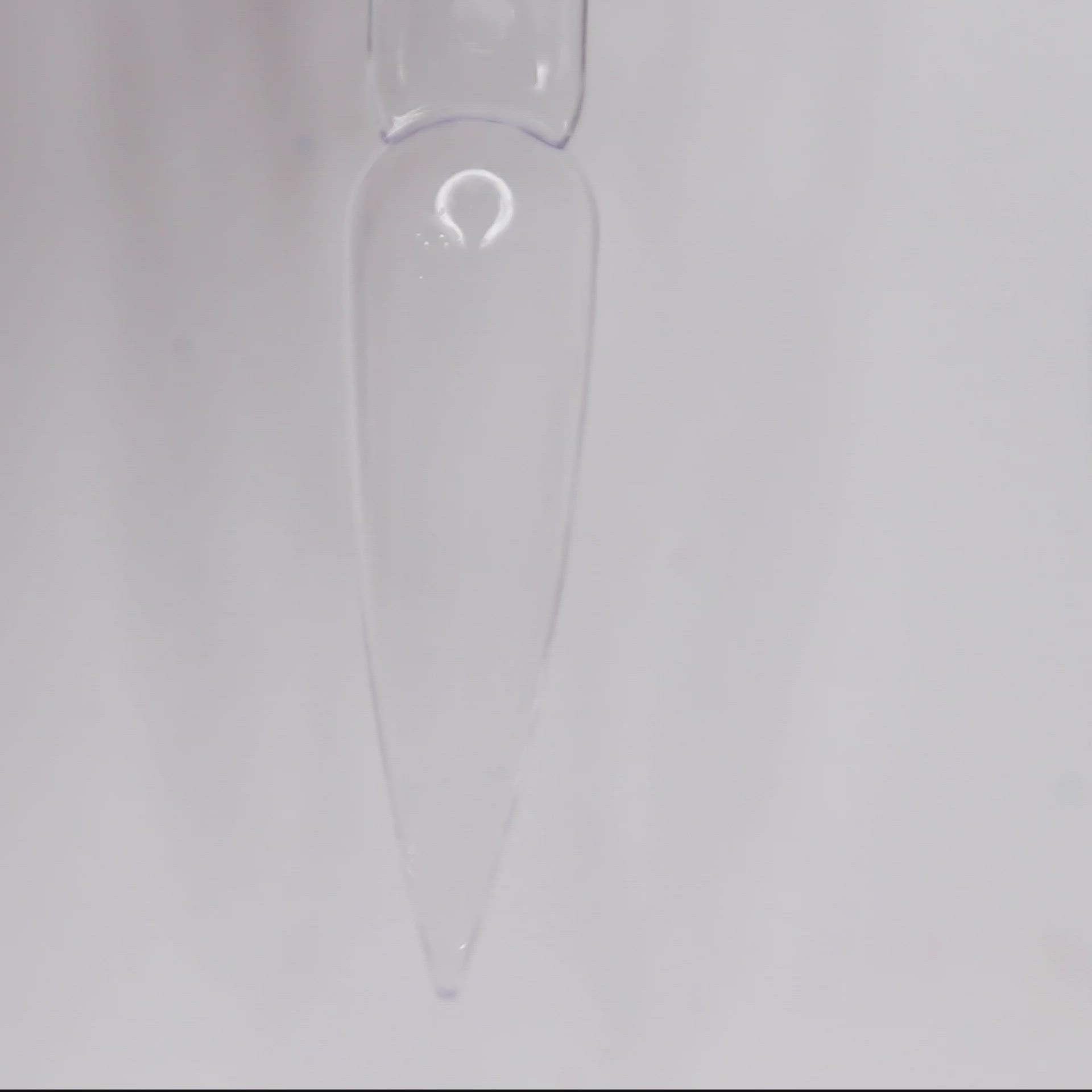 Load video: Parma Violet